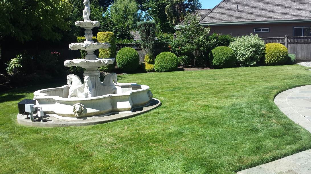 Get The Shrubs Shaped Get The Shrubs Shaped
