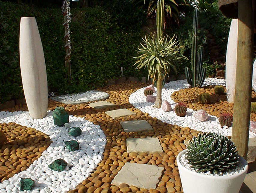 Consider Planting Cactus Consider Planting Cactus