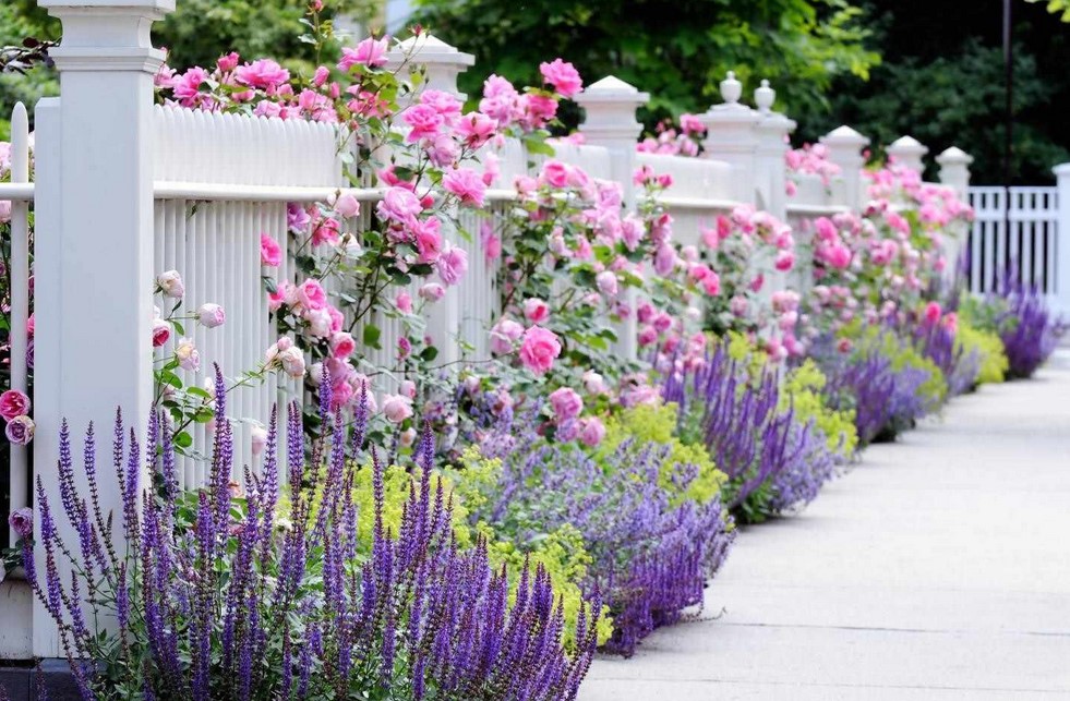 Feminine Front Yard Fence Feminine Front Yard Fence