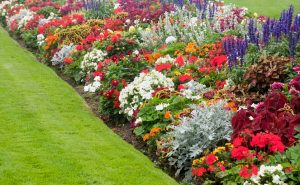 Garden design ideas low maintenance 