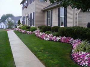 Front Yard Landscaping Ideas - Make a Focal Point 