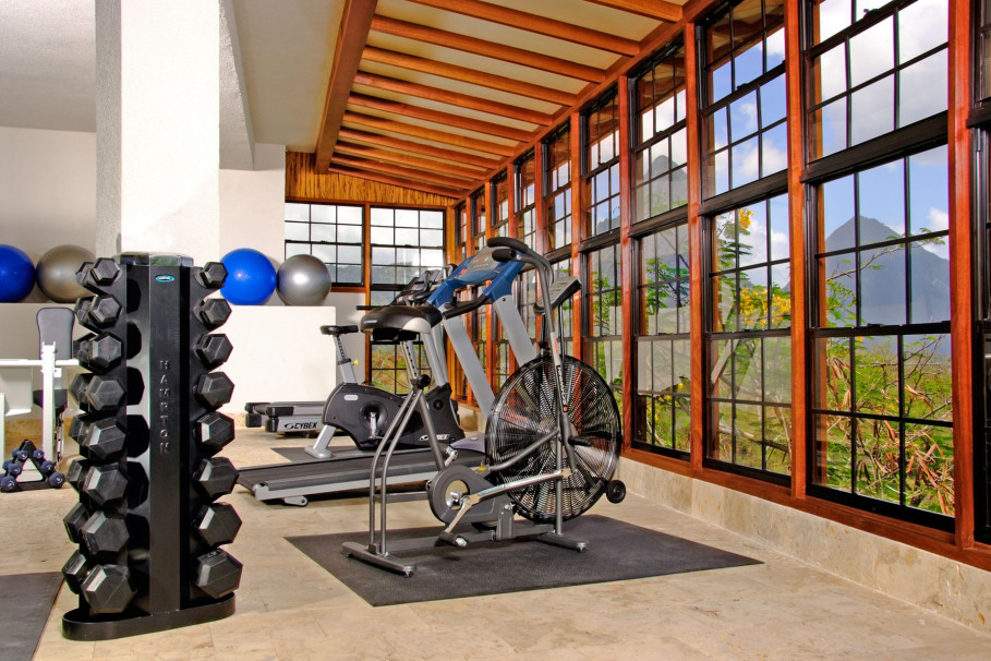 Gym Home Idea with Spectacular Landscape