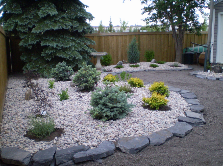 Keep Some Low-Maintenance Plants Keep Some Low-Maintenance Plants