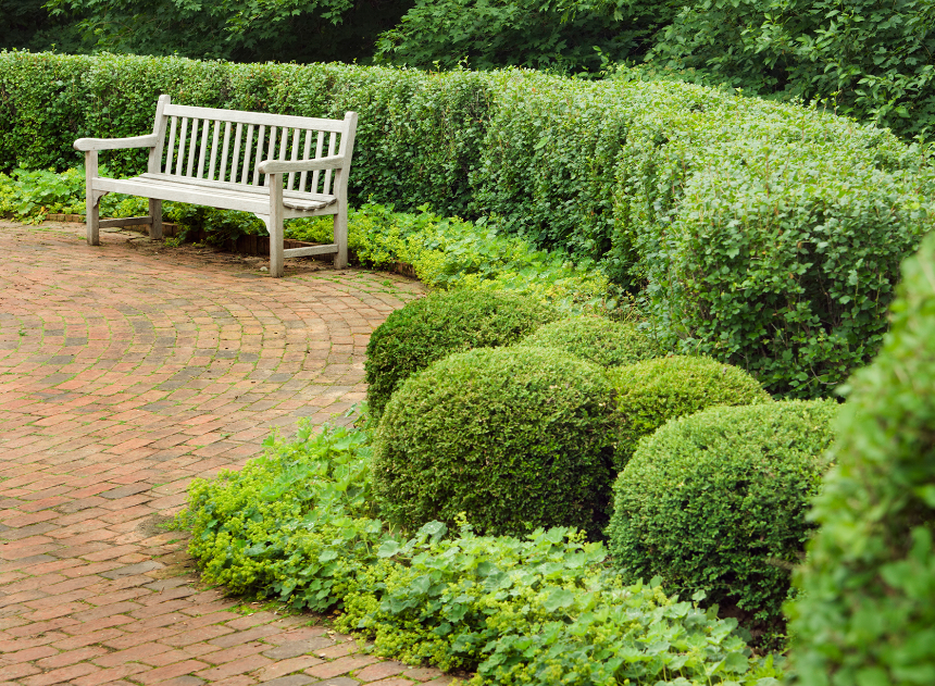 Use Shrubs Instead of Beds