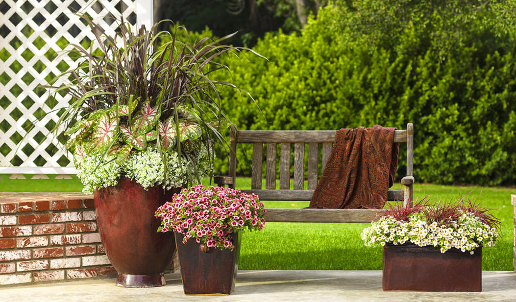 Do Not Overwhelm The Garden Do Not Overwhelm The Garden